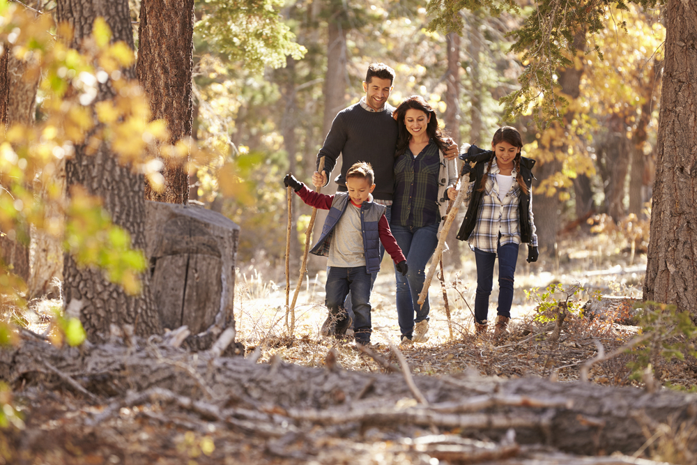A family taking a walk in the woods
