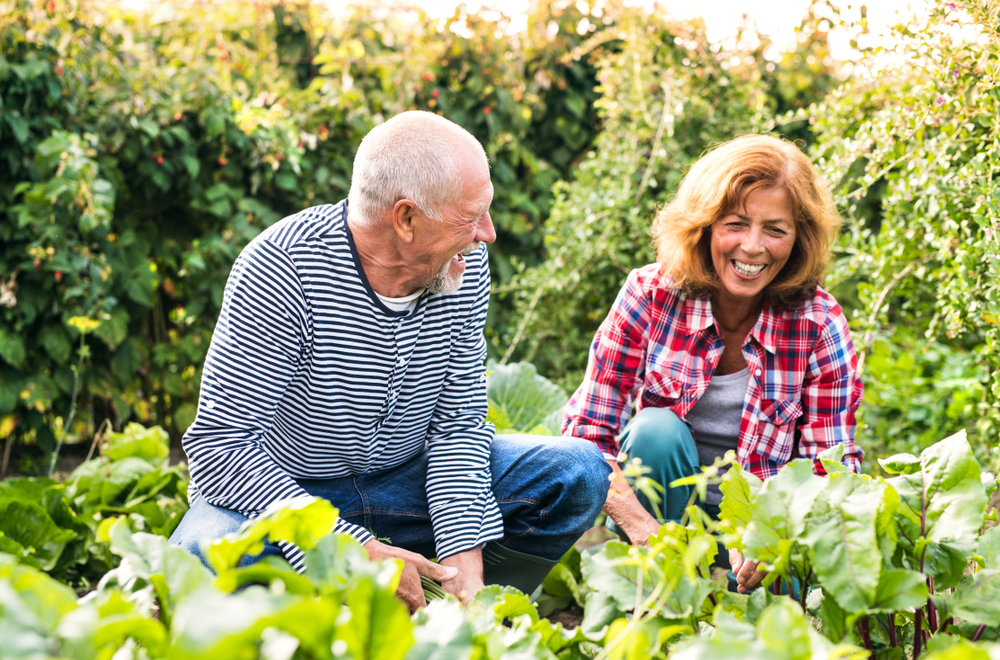 Senior couple with type 1 diabetes working in the garden